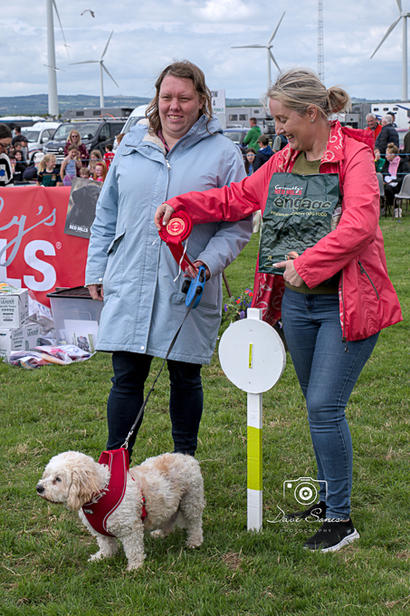 B&Ragrishow_DS-0021