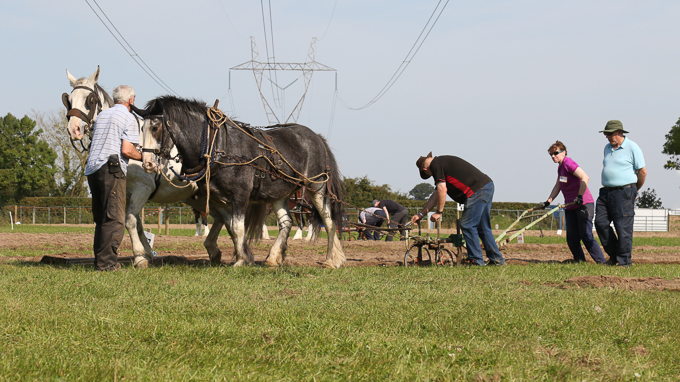 Theme_Ploughing