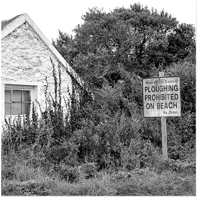 Theme_Prohibited