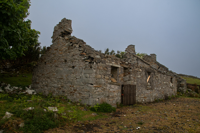 20250512-DSC_0648